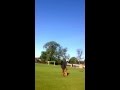 Kazeti Teresa Amber 21 Week Old German Shepherd Obedience Training In Park