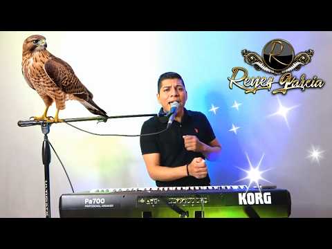 The Red Hawk - Reyes Garcia, Keyboardist from Chicago