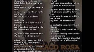 Robi Draco Rosa - Songbirds And Roosters Album Completo Letra Full Album