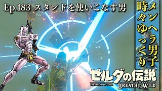 【DLC 英傑たちの詩】ミファー vs 古代のからくり兵ガーディアン！？サタ・カダの祠を攻略！ 英傑ミファーの詩 -Part183- 【ゼルダの伝説BotW実況】【ブレスオブザワイルド 実況プレイ】