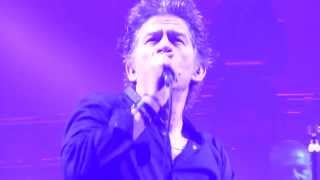 Hubert Felix Thiefaine - Les Fastes De La Solitude