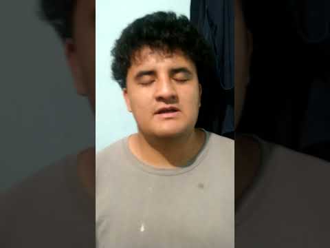 Integrative Activity English