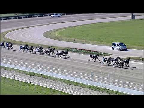 Napoli Trotto 21/04/2023 - 5ª corsa