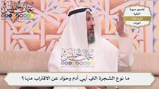 104- ما نوع الشجرة التي نُهي آدم وحوّاء عن الاقتراب منها؟ - عثمان الخميس