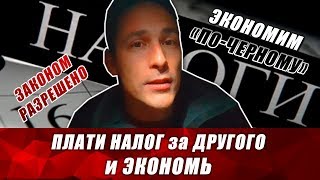 Оптимизация налогообложения и снижение налогов. Как платить меньше налогов? Налоги ооо и налоги ип.