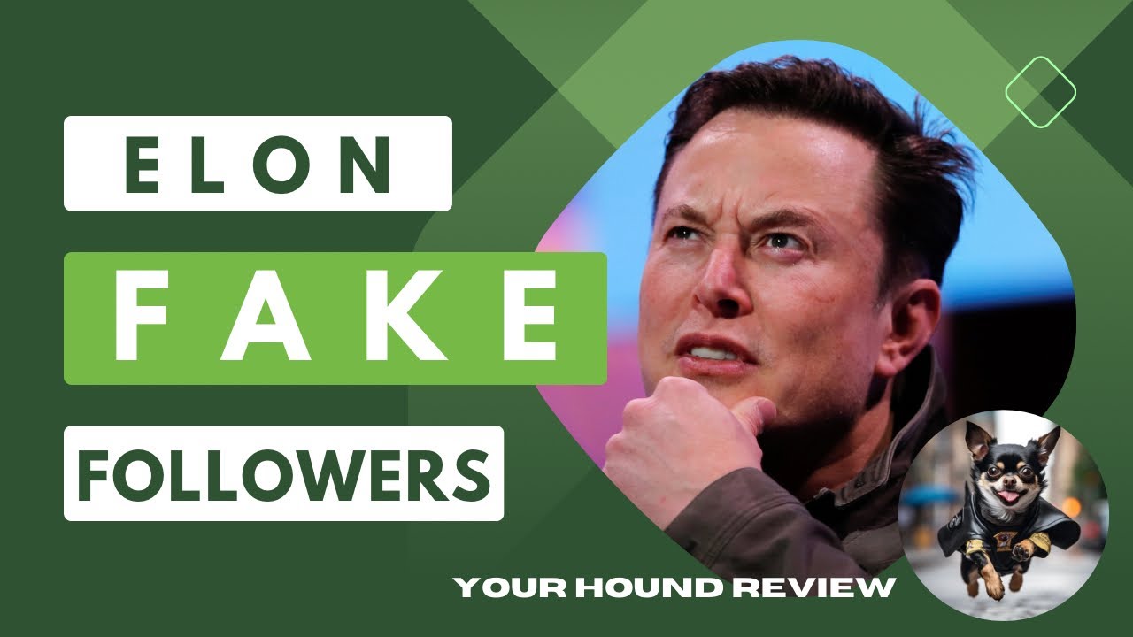 Are millions of Elon Musk’s ‘X’ followers fake?