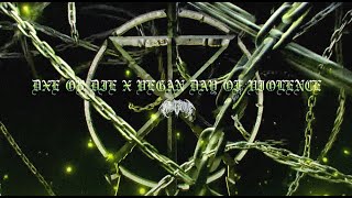 Music video thumbnail preview for TO THE GRAVE - DxE Or Die \u0026 Vegan Day Of Violence (Lyric Video) by To the Grave