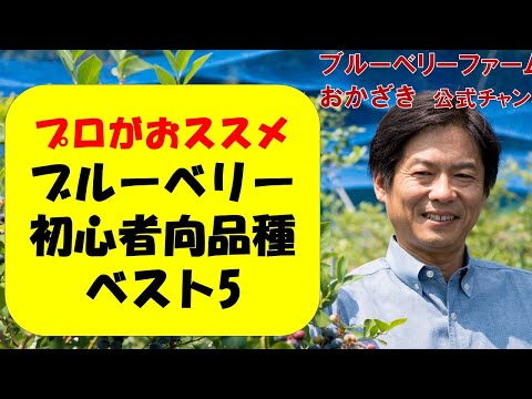 ワイルドブルーベリー 植物