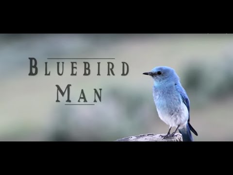 Bluebird Man