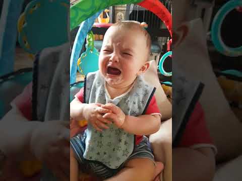 Noha's battle for ice - cream