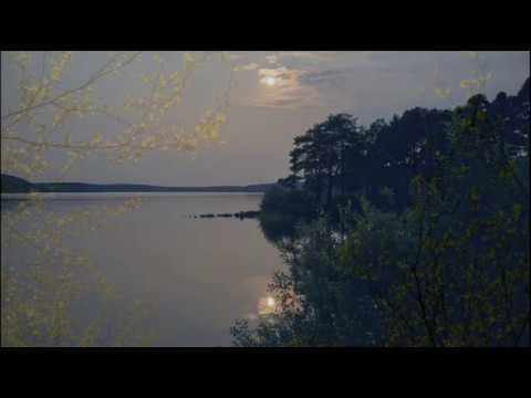 Vivaldi (Concerto in C major RV 443 (largo))