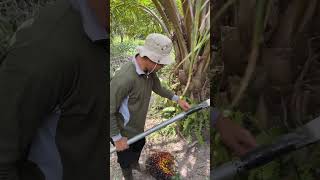 https://www.youtube.com/watch?v=fg9kUVy2E2A&t=2s