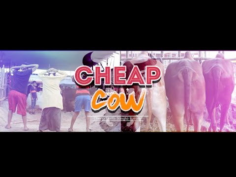 সস্তা গরু। KURBANI SONG | Cheap Cow | Funny Music Video 2018