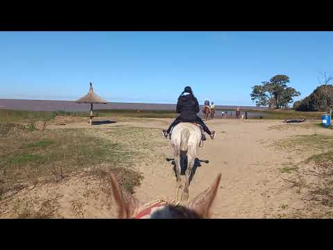 Playa La Escondida, Punta Indio
