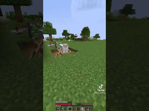 Minecraft Sus Moment