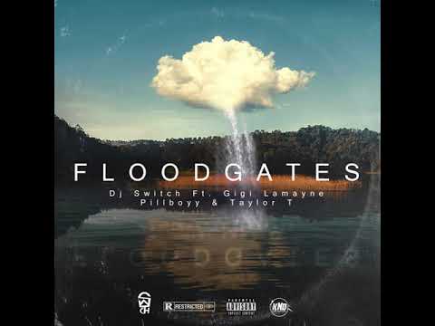 Dj Switch - Flood Gates (Official Audio)