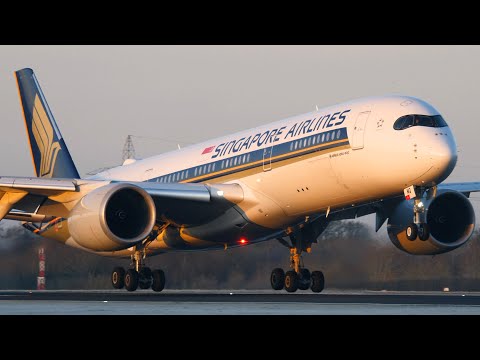 15 INCREDIBLY SMOOTH Aircraft Landings- A380/747/777/A330/787/A350-