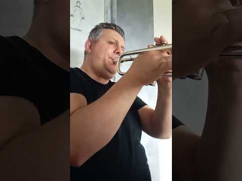"tu si na cosa grande" francesco latini trumpet