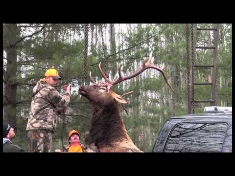 download lagu mp3 mp4 Michigan Outdoors Com, download lagu Michigan Outdoors Com gratis, unduh video klip Michigan Outdoors Com