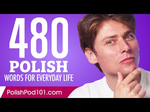 480 Polish Words for Everyday Life - Basic Vocabulary #24