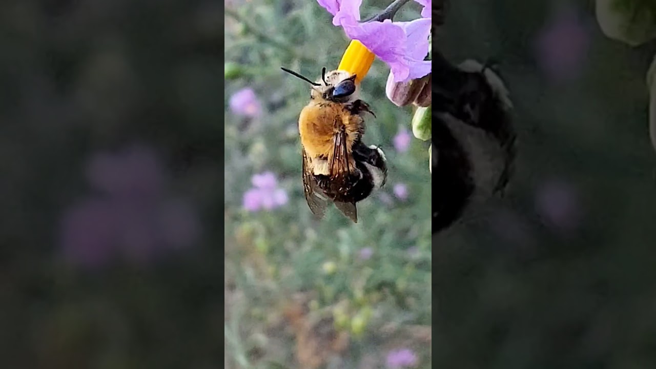 Reproducir video de la Comarca del Cerro Escuela La Cantera