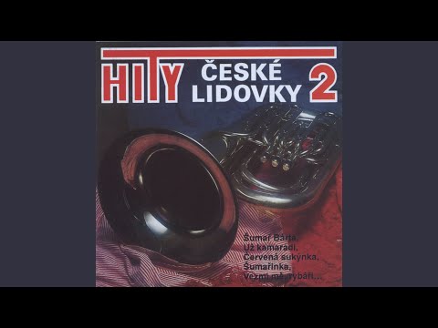 Zbraslavská (Už kamarádi...)