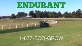 preview picture of video 'Endurant turf paint tramples overseeding for big horse race event'