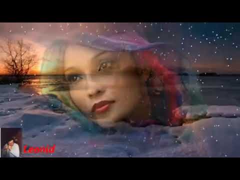 Роза на снегу Николай Замковец