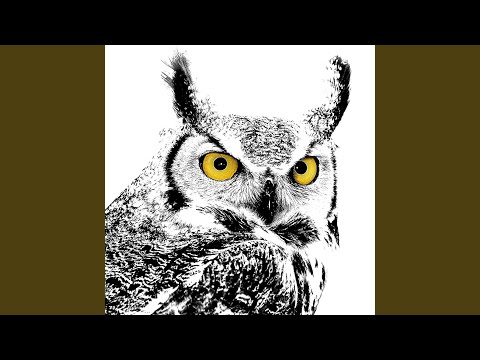 Arrastrando as cadeas