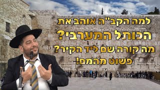 למה הקב"ה אוהב את הכותל המערבי? מה קורה שם ליד הקיר? פשוט מהמם!- הרב אפרים שרבני (הרב אפרים שרבני) - התמונה מוצגת ישירות מתוך אתר האינטרנט יוטיוב. זכויות היוצרים בתמונה שייכות ליוצרה. קישור קרדיט למקור התוכן נמצא בתוך דף הסרטון