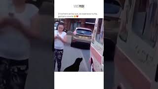 Ele ganhou um presente!