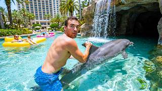 Download lagu I Tested 1-Star vs 5-Star Vacations mp3 Download lagu I Tested 1-Star vs 5-Star Vacations mp3