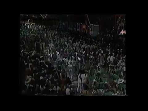 CAMISA VERDE E BRANCO 1976