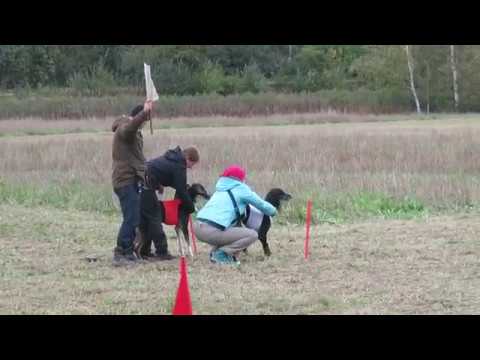 Dashuri Te Hope & Anusheh vom Ahlabub