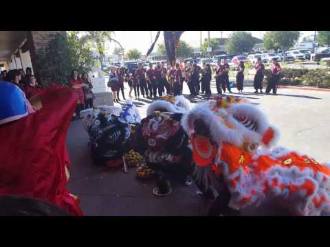 YYT Nghia Anh Duong @ Thuan Phat Lion Dance 2017