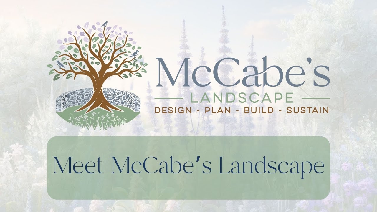 Meet McCabe's Landscape