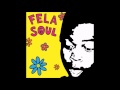 Amerigo Gazaway - Fela Soul - Fela Kuti vs. De La Soul