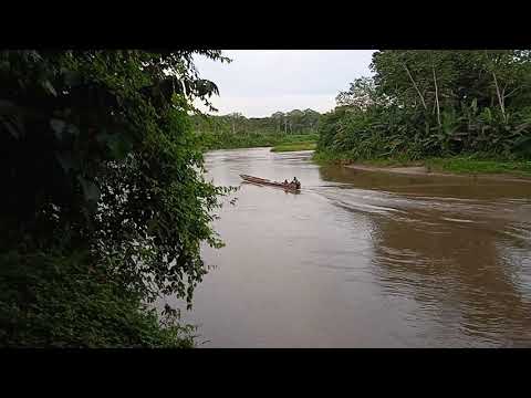 LOS III JUEGOS ANCESTRALES EMBERA, EN CEMACO COMARCA EMBERA,  DARIEN.