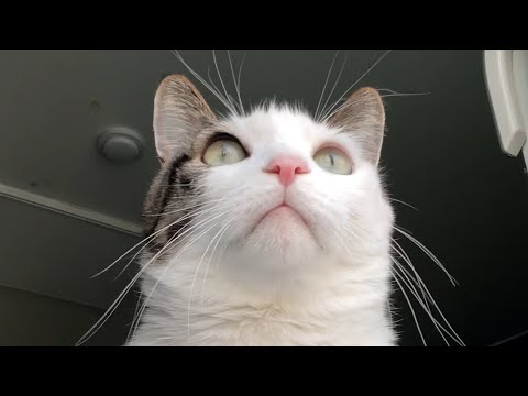 잠만 나 창 밖에 집중 좀 하고..