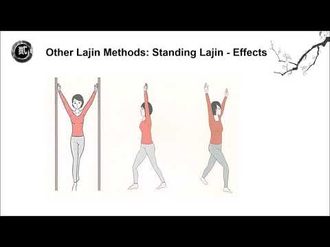 2019 Online Lajin Workshop -  Lajin Methods