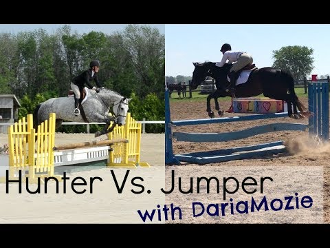 Hunter Vs Jumper | Riding Style & Rules