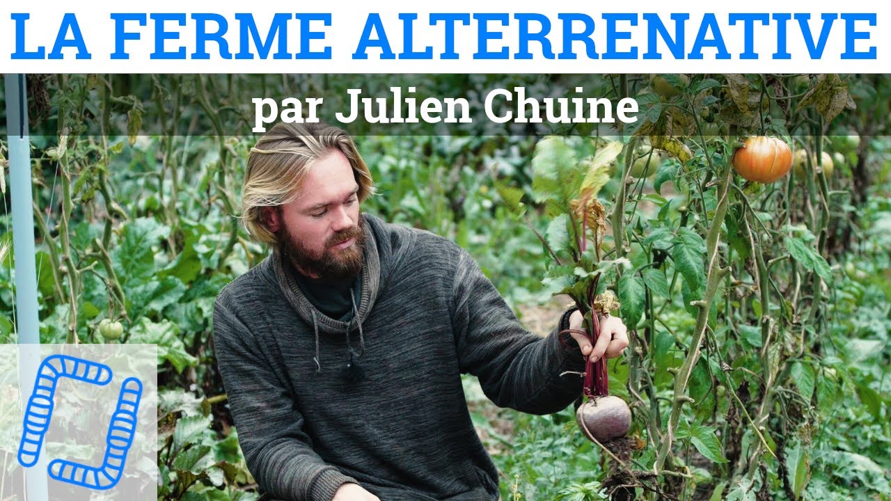 Portrait de ferme MSV - La ferme Alterrenative (14) - Julien Chuine - 2020