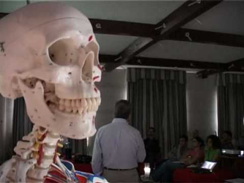 Coxartrosi tutti i circa 2 cucchiai di dellarticolazione dellanca Intorpidire il dolore alle articolazioni dei piedi