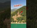 We found The Giant Door! #giants #conspiracy #nature #cascadia #quartzville #oregon #pnw #nephilim