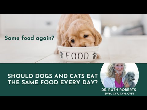 Should dogs and cats eat the same food every day?