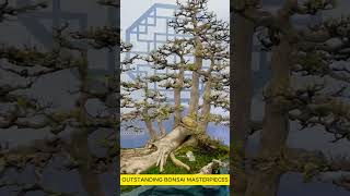 Download lagu An Outstanding Work in the 5th Guangdong, Hong Kong, Macau, and Taiwan Bonsai Exhibition mp3