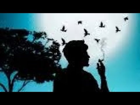 Sufle - Adımı Sormasınlar (Slowed + Reverb)