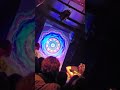 Bugs&Flowers, So What If I Couldn't Take It - Jeffrey Lewis&the Voltage @Beat Kitchen (October 2022)
