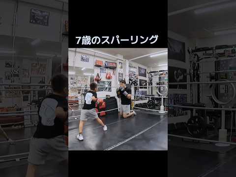 7歳息子と45歳父のスパーリング