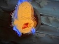 Opening To Bambi 1989 VHS
